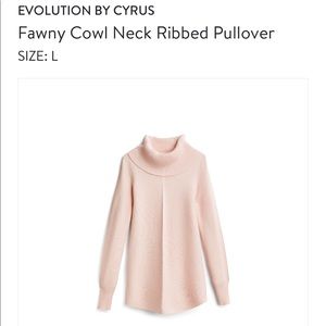 Stitch Fix item, Evolution by Cyrus Fawny Cowl